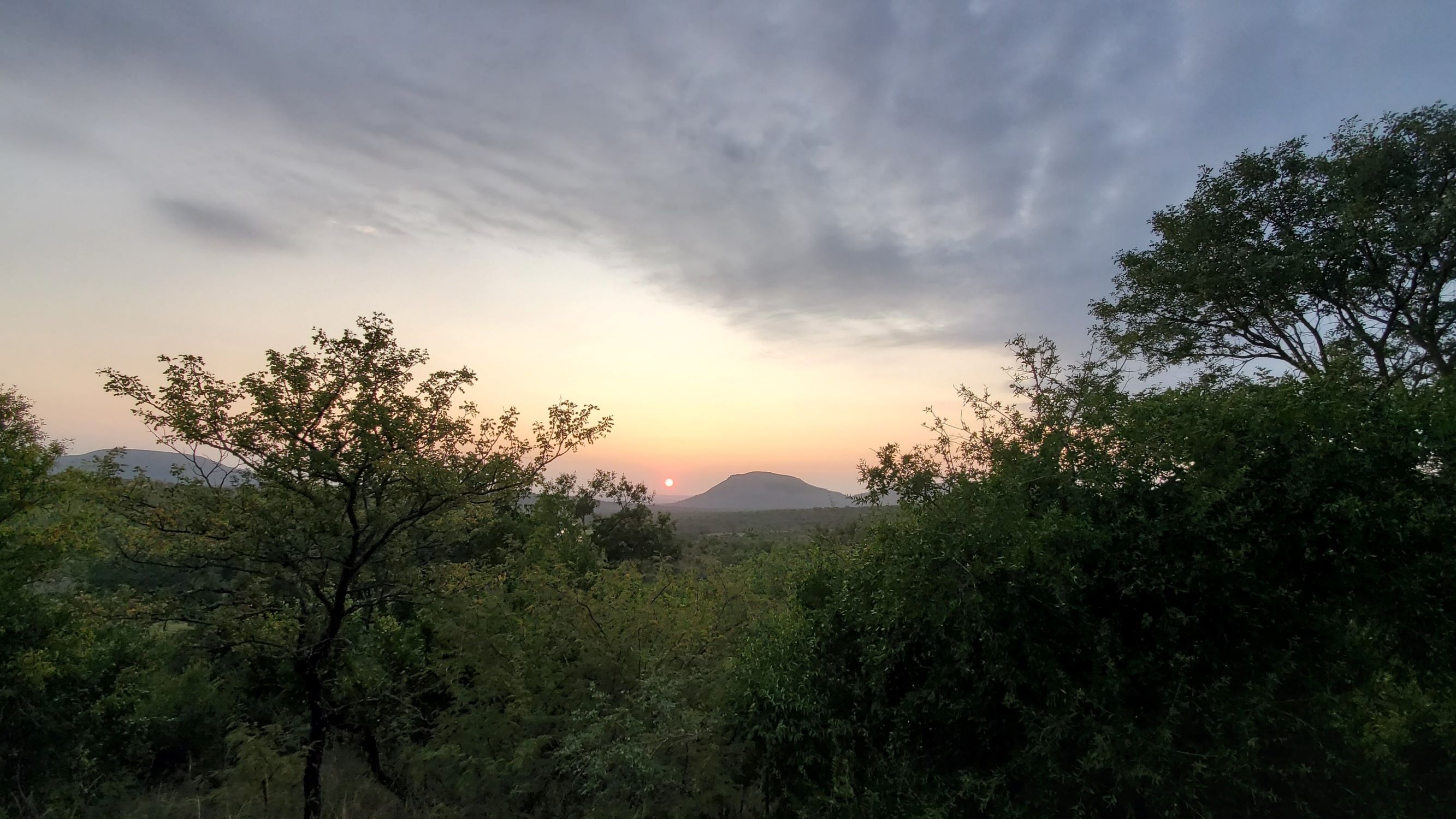 20200313_060212 - resize