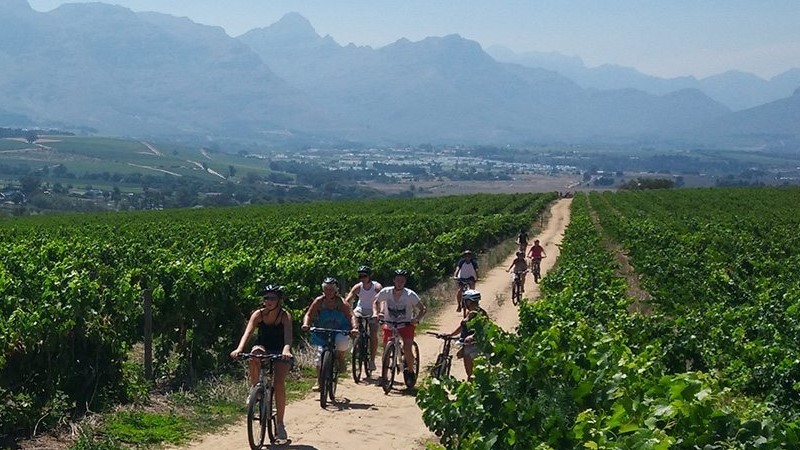 Bikes-N-WInes-Vineyards-Cycle-Tours
