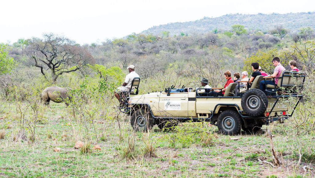 Bongani Mountain Lodge (5)