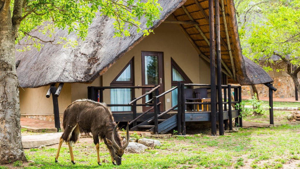 Bongani Mountain Lodge (9)