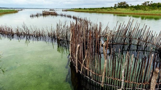 Kosi Forest Lodge Lagoon