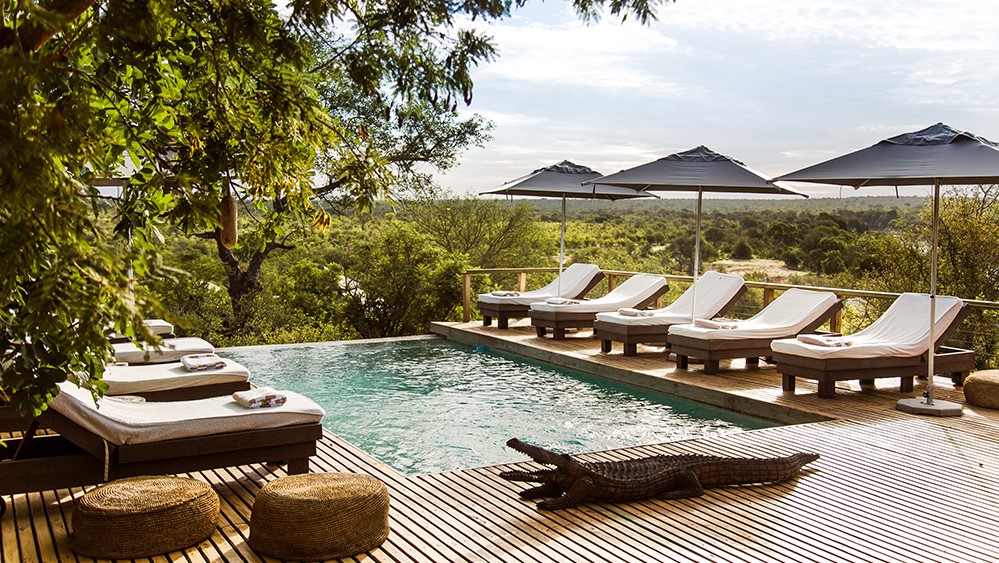 Simbavati Hilltop Lodge (4)