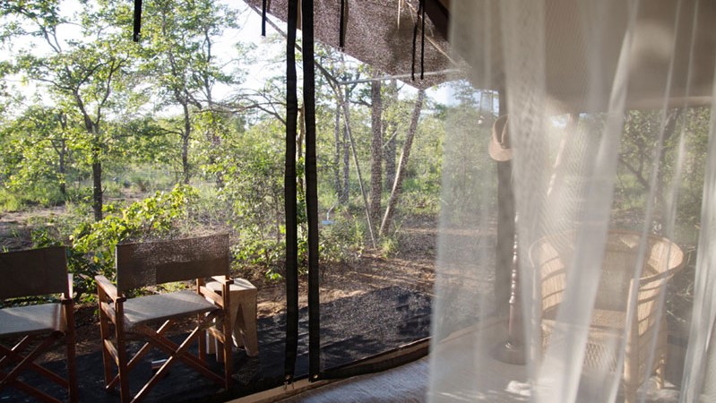 Simbavati Trails Camp (2)